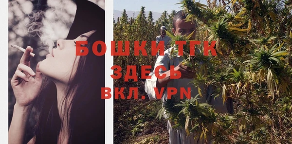 PSILOCYBIN Карталы