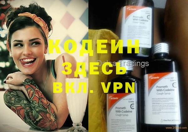 стаф Киренск
