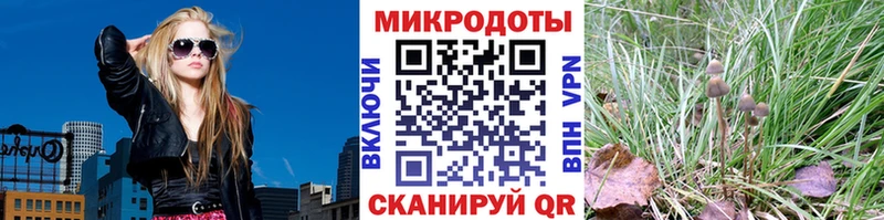 Псилоцибиновые грибы GOLDEN TEACHER Новотитаровская
