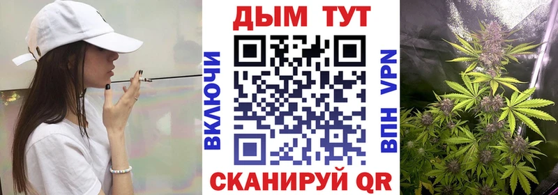 наркота  МЕГА ССЫЛКА  Канабис VHQ  Новотитаровская 